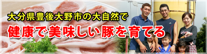 大分県豊後大野市の大自然で健康で美味しい豚を育てる
