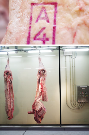 格付けの印が押された枝肉と、セリ場に運ばれる枝肉