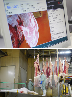 肉屋さんの手元の端末と、セリ落とされた枝肉