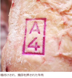 格付けされ、焼き印を押された牛肉