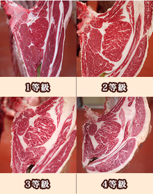 肉質等級ごとの牛肉のちがい