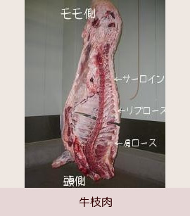 牛の枝肉