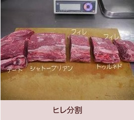 ヒレ