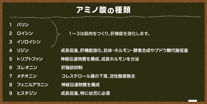 アミノ酸の種類