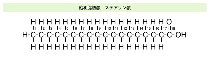 飽和脂肪酸(ステアリン酸)の分子構造