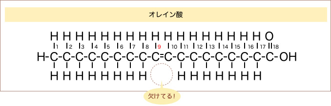 一価不飽和脂肪酸(オレイン酸)の分子構造