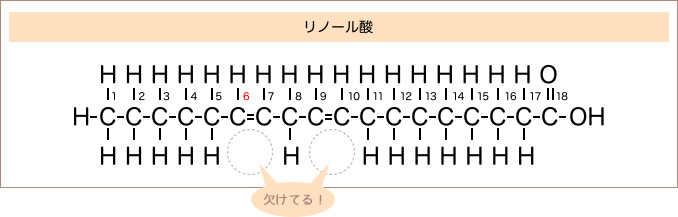 多価不飽和脂肪酸(リノール酸)の分子構造