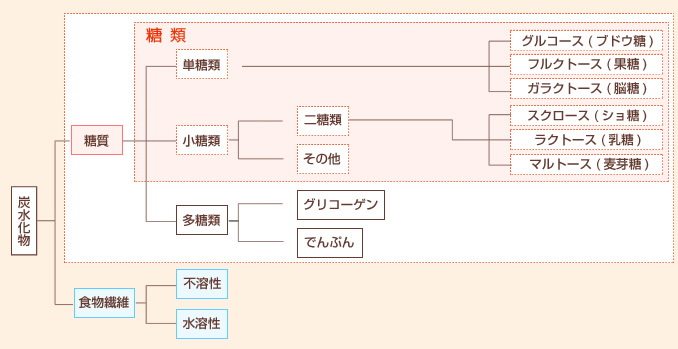 炭水化物の主な分類