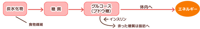 解糖系のエネルギー代謝