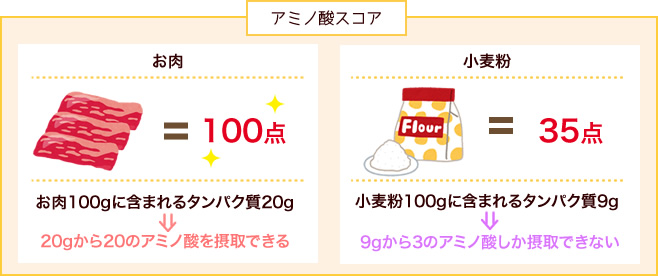 お肉と小麦粉のアミノ酸スコアとたんぱく質量のくらべ